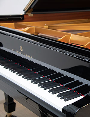 Steinway&Sons A-188をご利用いただけます。